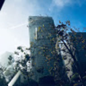 Meet your Posher, Laurel